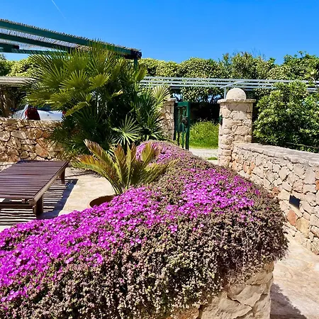 Appartement Porta D'oriente Villanova di Ostuni